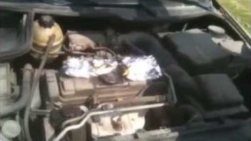 پخت و پز در جنگل 