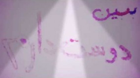  بابك جهانبخش دوست دارم 13