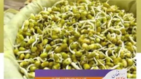 طرز تهیه دانه ماش