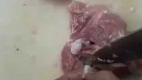 آنتی بیوتیک مرغ اینجای ران مرغ قرار داره درش بیارید بریزید