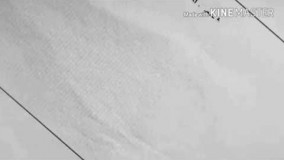 استاد رائفی پور یوتیوب- جنس حرف های آقای روحانی 