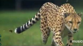 Salar Aghili - 11 Setareh ( official music video )( سالار عقیلی - یازده ستاره )