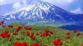 وطنم ای شکوه پا برجا ..28