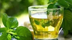 آشپزی-آموزش درست کردن شربت سکنجبین