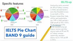 IELTS Writing task 1: Pie chart lesson