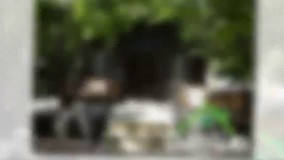 خرید باغ با ویلا در لم آباد ملارد کد1369