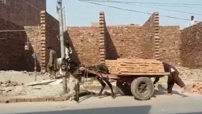 خر‌‍‌...........