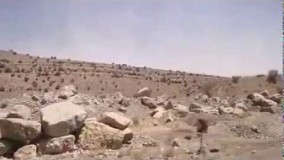 راهنمای سفر به شیراز قسمت24