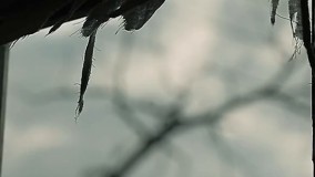 ویدیوی باحال ندیم با نام هوای رفتن