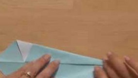 How to Fold an Origami Swan