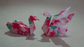 origami【swan spreading wings】