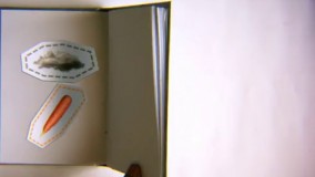 فصل اول کتاب سوره مهر