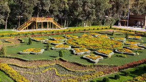 سفارش گل در کرج با قیمت مناسب و ارسال رایگان 