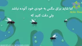 از بین بردن مگس ها برای همیشه با استفاده از سم آجیتا