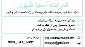 فروش تخم شترمرغ نطفه دار مرغوب مخصوص جوجه کشی