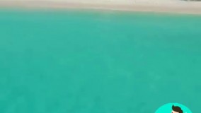 بلیط ارزان هواپیما-بلیط جت