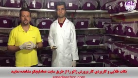 پرورش زالو - آموزش پرورش زالو - کلاس خصوصی پرورش زالو - بازدید از فارم برداشت کوکون