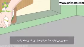 از بین بردن سریع حشرات با روش های ساده