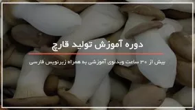 پرورش و رشد سریع قارچ با کاه