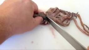 بهترین روش برای پاک کردن ، تمیز کردن و تهیه کالاماری (اسکوئید)