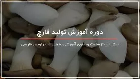 رشد باور نکردنی قارچ با قهوه