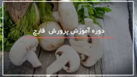 راه های تشخیص قارچ سمی و غیر سمی