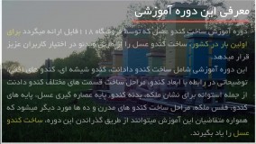 کندو عسل مدرن و پیشرفته