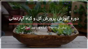 روش عوض کردن خاک گلدان