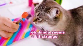 ترفند های جالب مدرسه ای-ترفند های جالب برای مدرسه 15