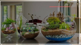 آموزش ساخت تراریوم از 0 تا 100