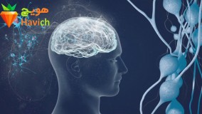 دانستنی های عجیب-آلزایمر چیست و چگونه تشخیص داده می شود.