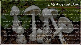 تولید آسان قارچ در خانه