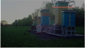 مکانیزه کردن کندو عسل