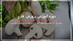 آموزش مرحله به مرحله پرورش قارچ بصورت کامل - www.118file.com