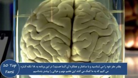 دانستنی های عجیب-10 تا از نکات جالب درباره مغز انسان ها و 8 نکته دیگر