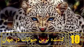 کلیپ های عجیب و جالب-10 تا از کشنده ترین و خطرناک ترین موجودات زمین