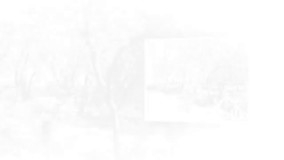 خرید و فروش باغ و باغچه در بکه شهریار کد 1535