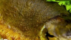 ماهی شکم پر | فیلم آشپزی