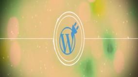 پلاگین یا افزونه وردپرس چیست ؟