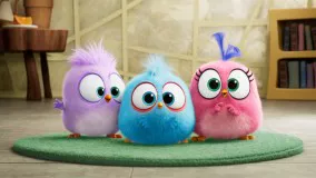 انگری بردز 2 اپارات-انیمیشن angry birds 2019