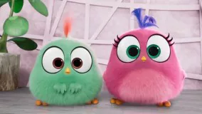 انیمیشن angry birds 2019-دانلود کارتون انگری بردز 2019