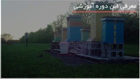 ساخته پایه برای کندو های زنبور عسل