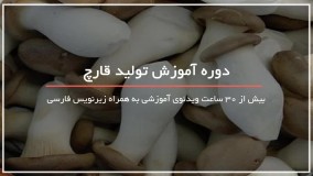 آموزش بهبود تکثیر گندم