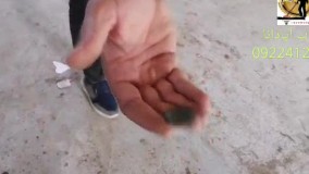 فلزیاب اپادانا 09224125314 - تست سکه با دستگاه اکا سیگنیوم