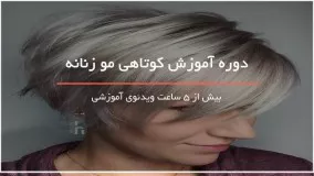 کوتاهی مو لیر_layer