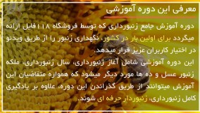 تشخیص ملکه زنبور عسل