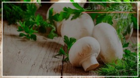 آشنایی با اصول اولیه پرورش قارچ