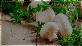 آشنایی با اصول اولیه پرورش قارچ