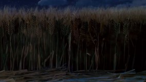 بره ناقلا سری جدید 2019