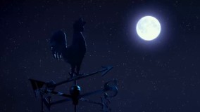 بره ناقلا سری جدید 2019-کارتون سینمایی جدید دوبله فارسی کامل